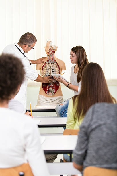 istock High school students and their teacher during anatomy class 474468329