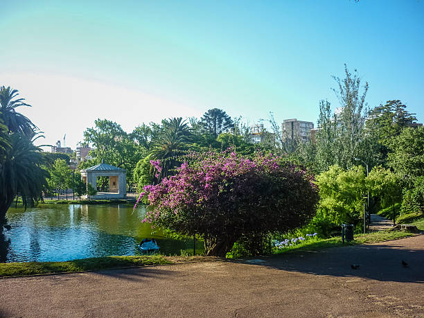 istock Lake at Park in Montevideo 474468650