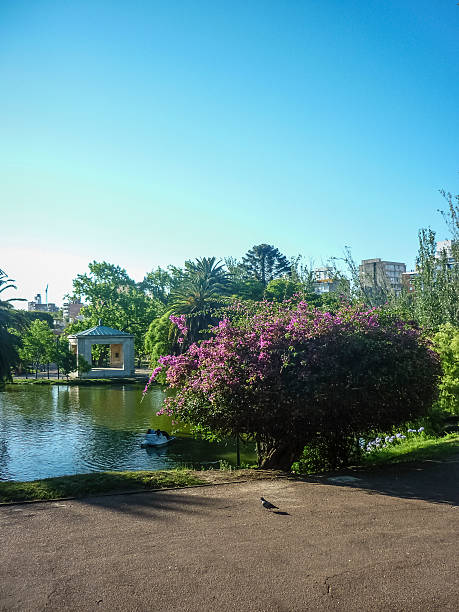 istock Lake at Park in Montevideo 474468656