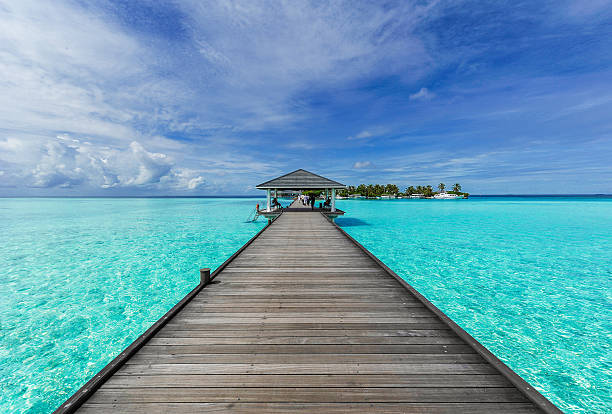 istock Boardwalk to island paradise 474469180