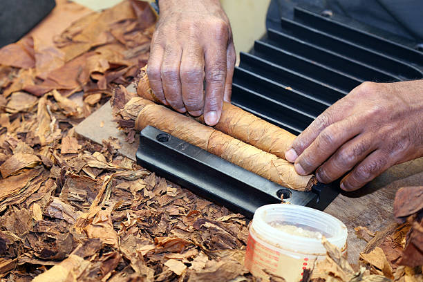 cigare rolling - partagás cigars photos et images de collection