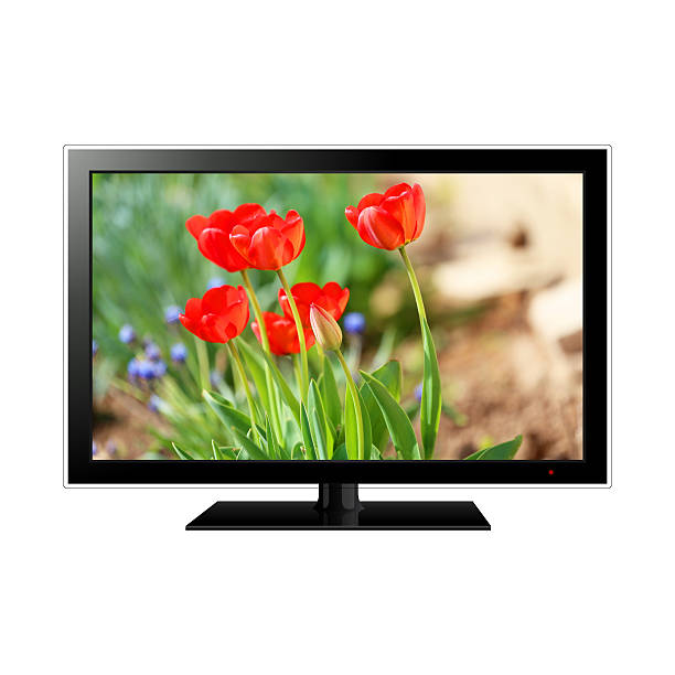 istock TV isolated with flowers on the screen 474471190