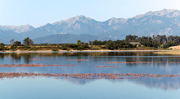 istock Lake in Corsica island 474474117