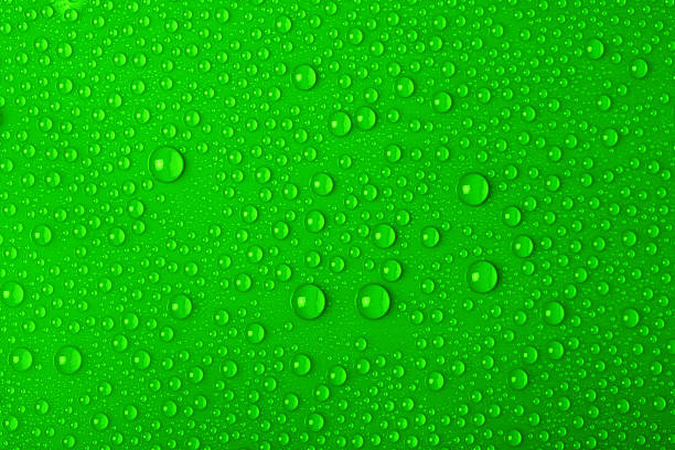 Water drops on green background stock photo