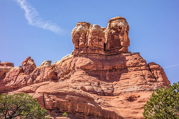 istock views of Canyonlands National Park 474476224