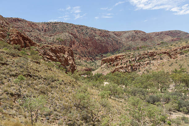 alice springs en territorio septentrional, australia - ghan pass fotografías e imágenes de stock