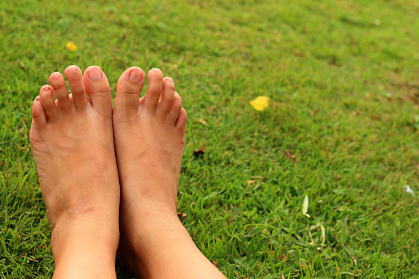 istock Foot on the green grass in the lawn. 474477242