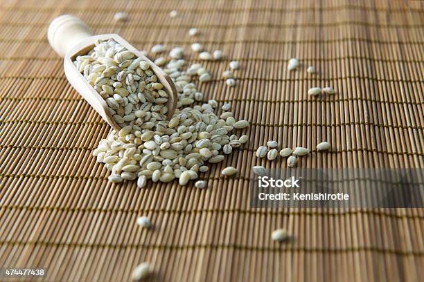 Barley Stock Photo - Download Image Now - 2015, Agriculture, Bamboo - Plant