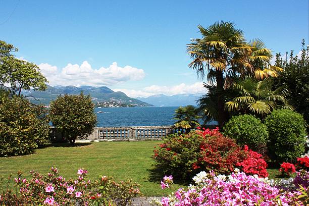 istock Lago Maggiore Stresa Waterfront blooming under blue sky 474479522