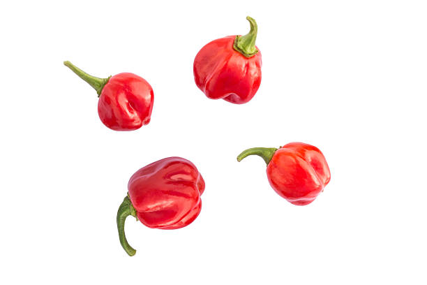 Fresh Scotch bonnet peppers on white background