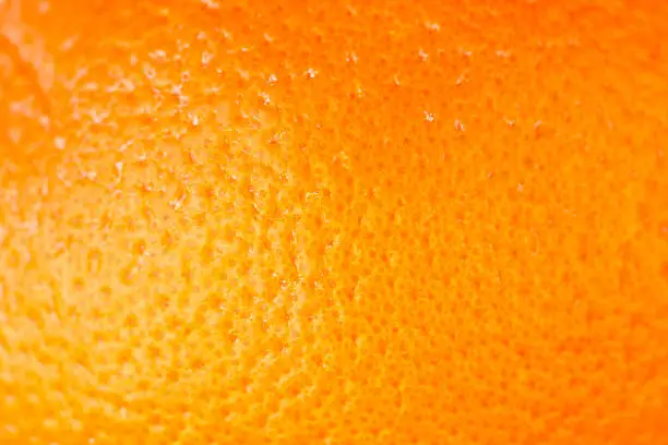 Photo of Ripe Orange Background