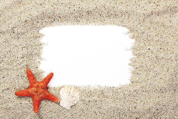 istock Red starfish and small shell on sand from sea 474485059