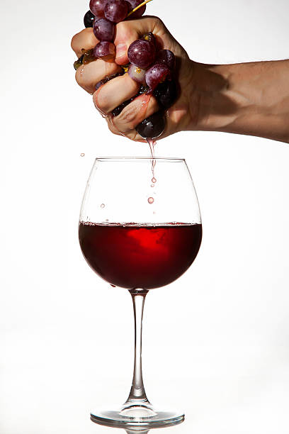 istock Red Grapes squeezed by hand to make wine 474486665