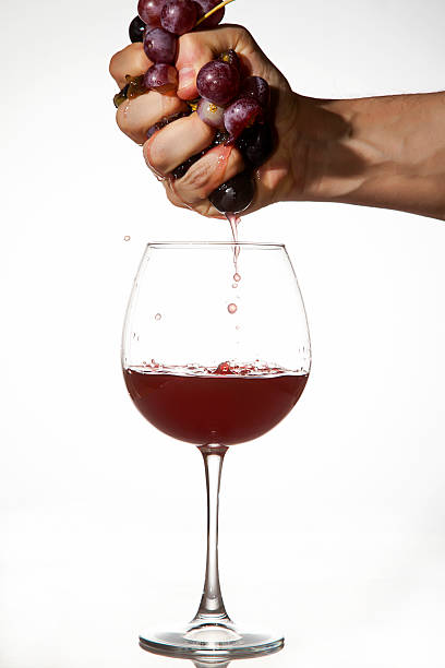 istock Red Grapes squeezed by hand to make wine 474486671