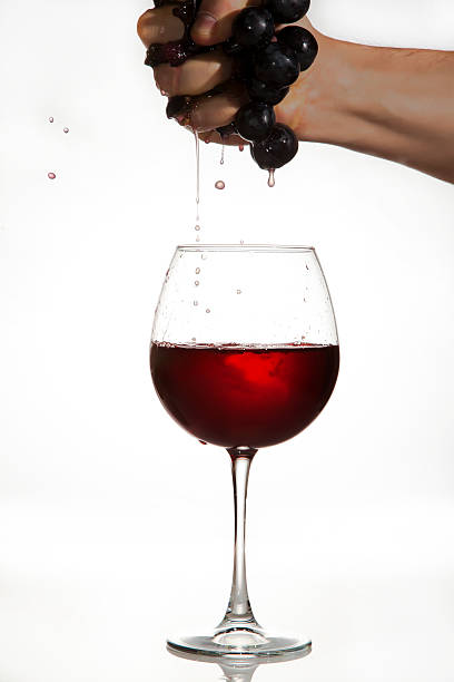 istock Red Grapes squeezed by hand to make wine 474486675