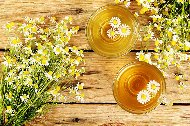 ромашковый чай - chamomile herbal tea chamomile plant tea стоковые фото и изображения