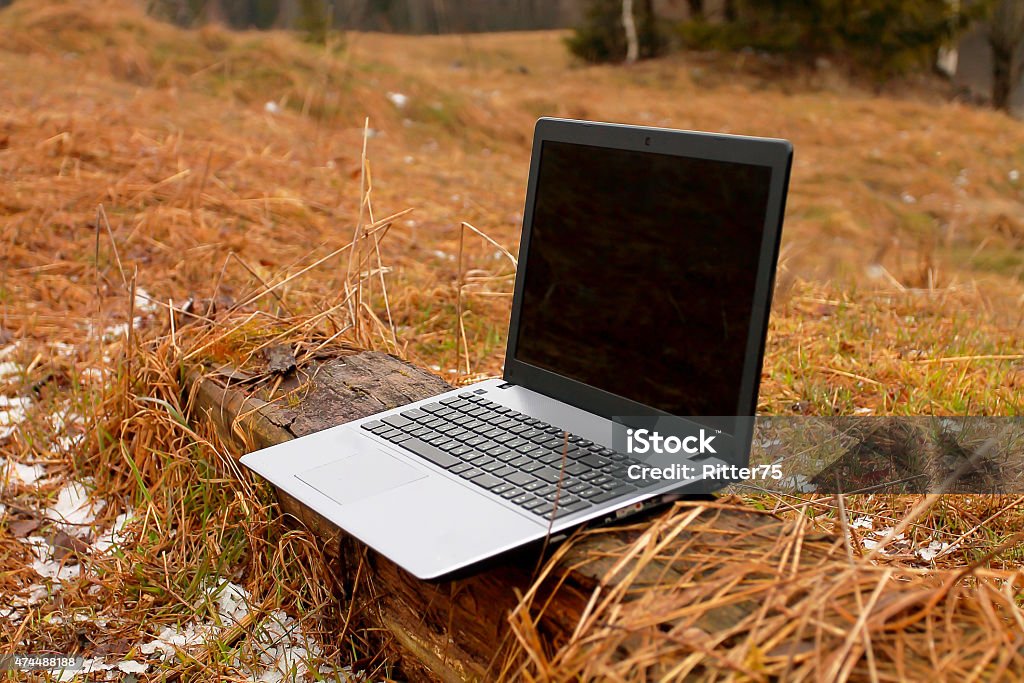 Laptop in Forest Opened laptop is standing on the log in the forest. 2015 Stock Photo