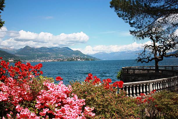 istock Lago Maggiore Stresa Waterfront blooming under blue sky 474488730