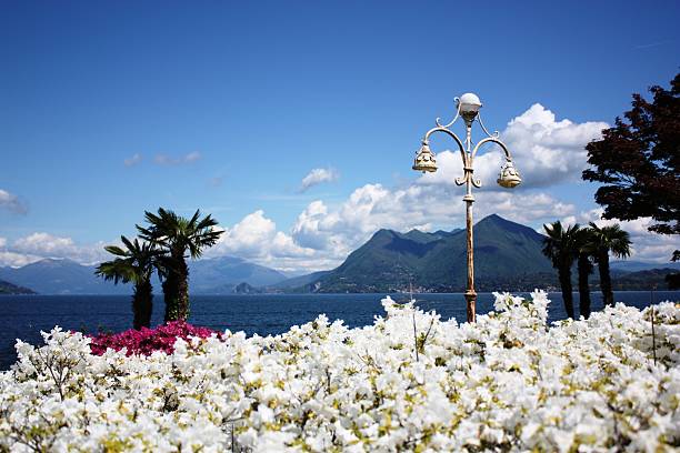Stresa Waterfront blooming surrounded by Alps under blue sky