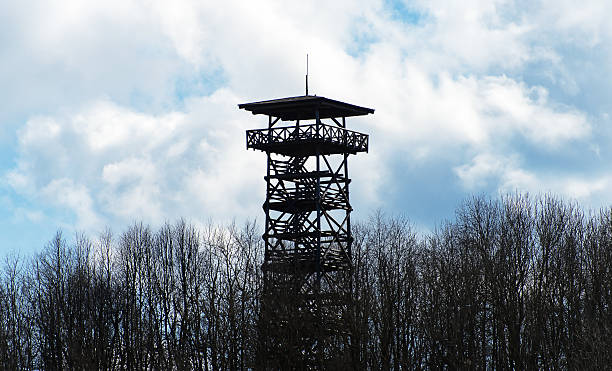 istock Wooden observation tower in the forest. 474489024