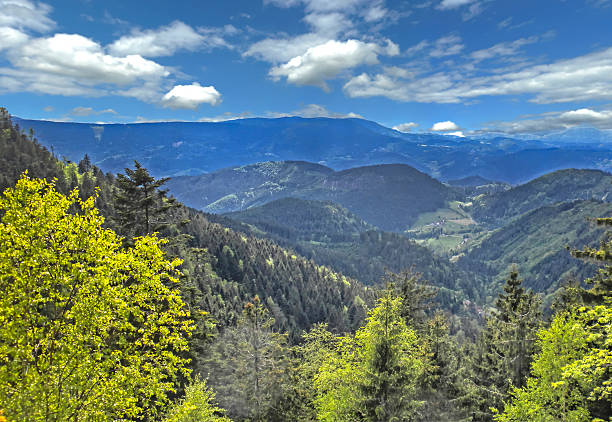 istock surrounded by the Black Forest mountains village 474493106