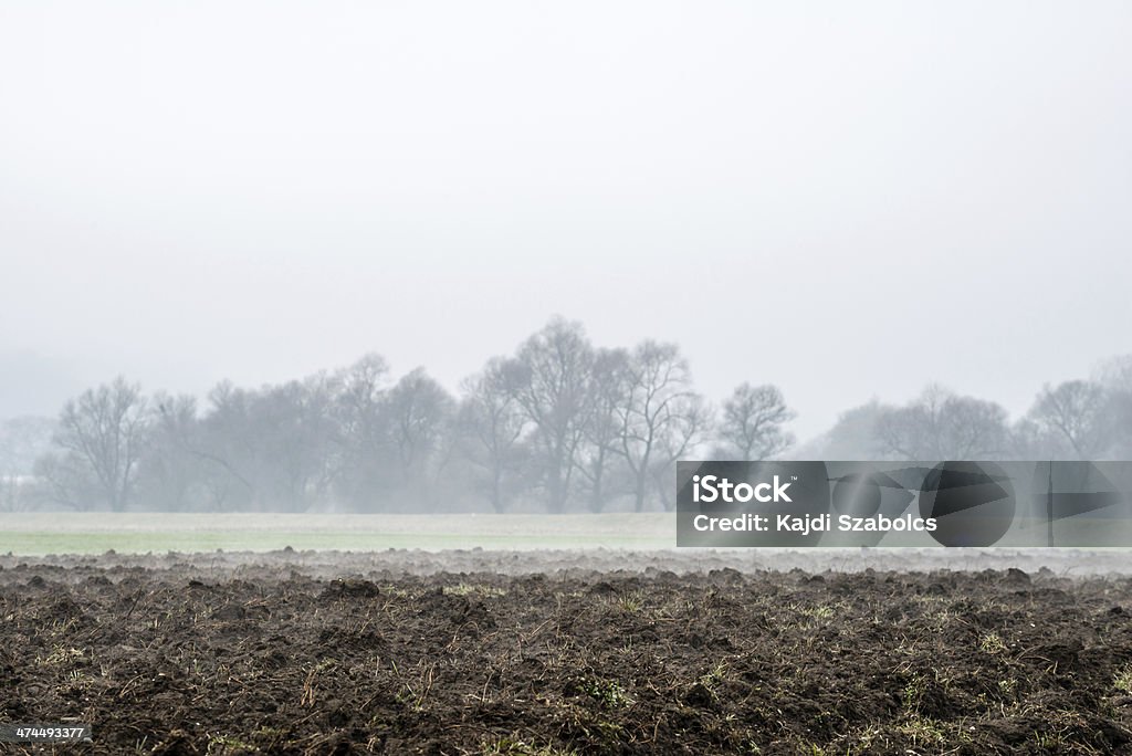 Agrícolas tierra - Foto de stock de Agricultura libre de derechos