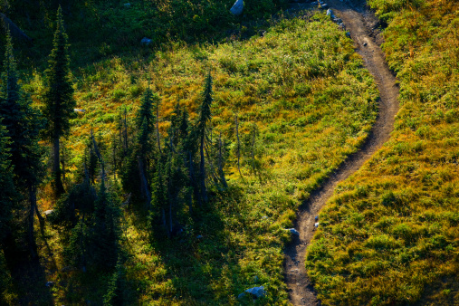 A popular singletrack trail for mountain bikers, hikers and runners near Revelstoke, British Columbia, Canada.