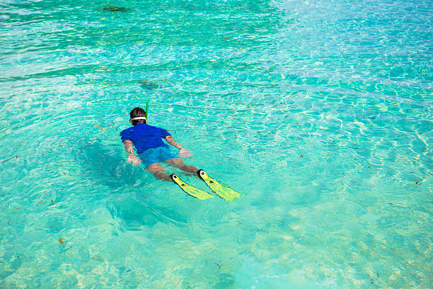 istock Young man snorkeling in clear tropical turquoise waters 474497946