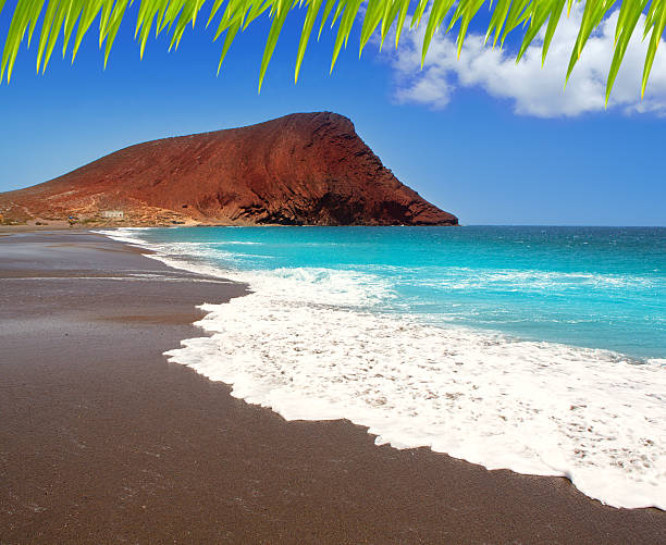 istock Beach Playa de la Tejita in Tenerife 474498438