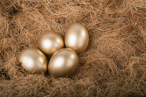 złote jaj - animal egg golden animal nest nest egg zdjęcia i obrazy z banku zdjęć