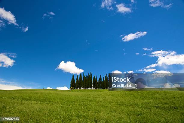 Cypress Groveваль Дорча Тоскана — стоковые фотографии и другие картинки Без людей - Без людей, Валь д'Орча, Возвышенность