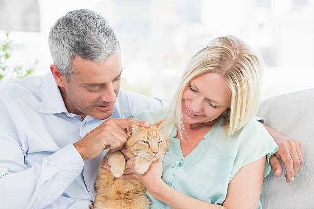 istock Couple playing with cat in living room 474504710
