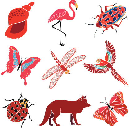 A vector illustration of animals and insects with a red theme.