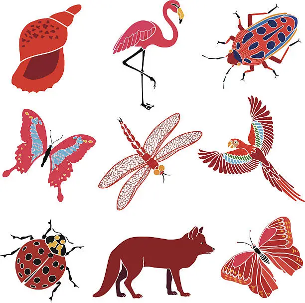 Vector illustration of animals and insects red theme