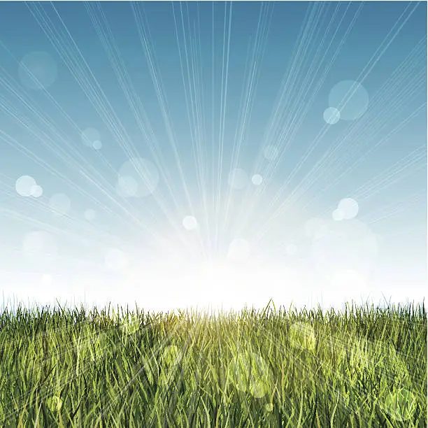 Vector illustration of Long grass landscape with blue sky and lens flare