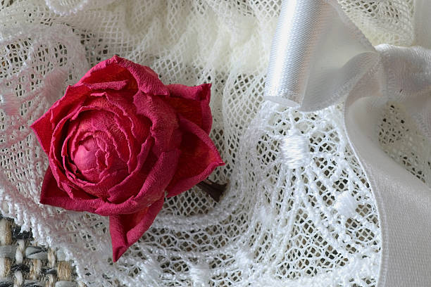 istock Rose lace concept of love 474505614