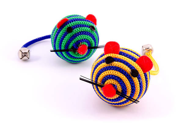 istock Pet toys closeup isolated 474505818