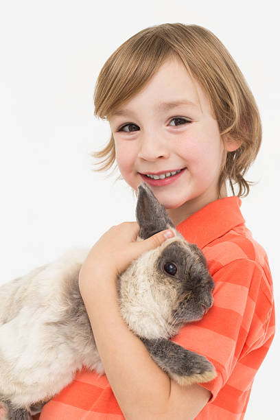 istock Portrait of happy boy holding fluffy rabbit 474506428