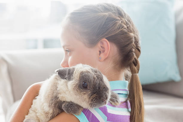 istock Girl holding rabbit at home 474506814