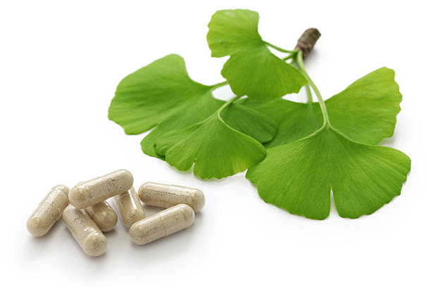 ginkgo biloba con foglie e pillole capsula di farmaco - chinese medicine herb pill nutritional supplement foto e immagini stock
