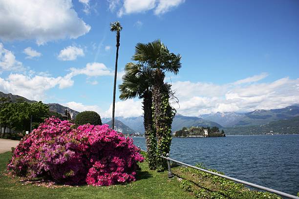 istock Lago Maggiore Stresa Waterfront blooming, view to Isola Bella 474510058