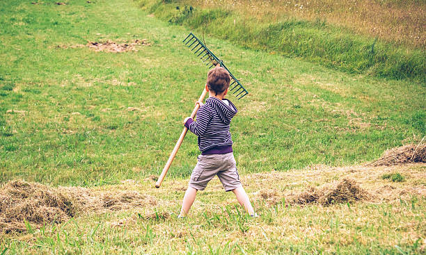 istock Boy raking dry hay with rake on field 474511114