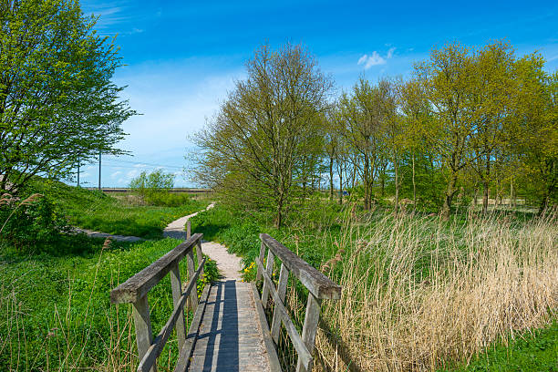 istock Railroad through a sunny nature in spring 474512486