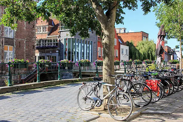 Photo of Several bicycles under tree next to channel in Belgium