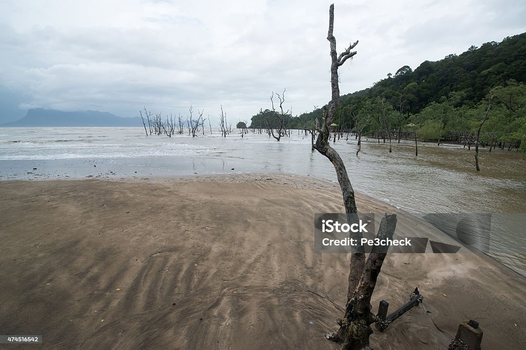 Muddy sea Muddy Sea - On the way to Bako National Park - Borneo , Sarawak Malaysia 2015 Stock Photo