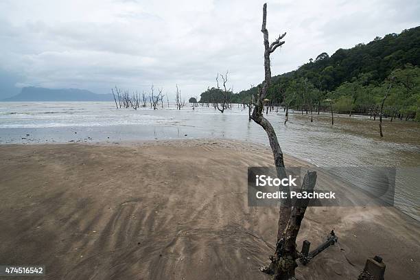 Muddy Sea Stock Photo - Download Image Now - 2015, Asia, Beach