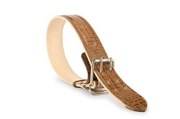 istock Dog collar isolated on the white background 474518745