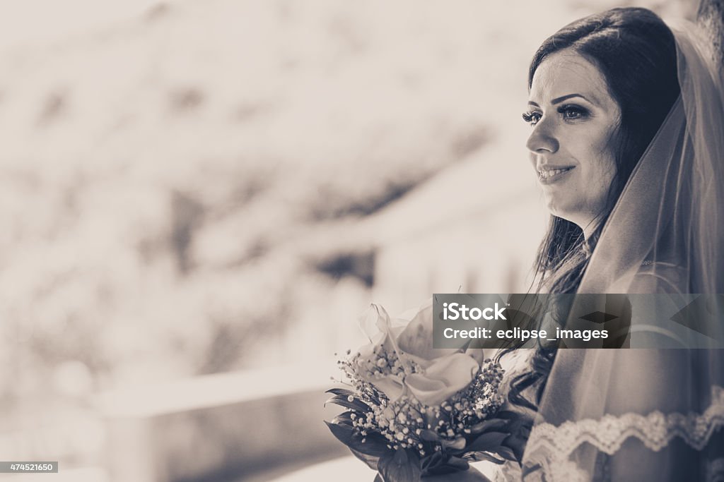 Beautiful bride 2015 Stock Photo