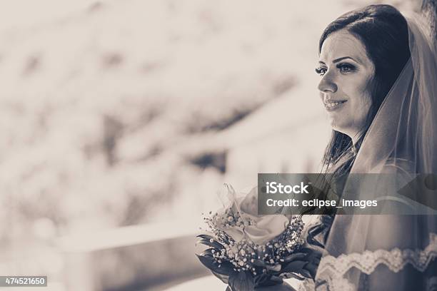 Beautiful Bride Stock Photo - Download Image Now - 2015, Adult, Adults Only