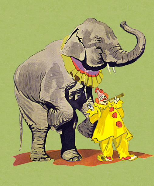 ilustraciones, imágenes clip art, dibujos animados e iconos de stock de payaso con elephant - green background color image people animal